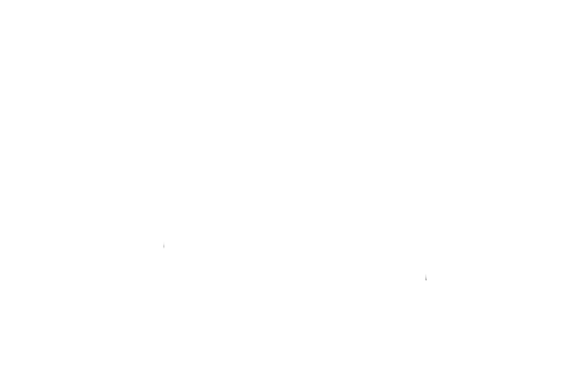 Phaella Logo